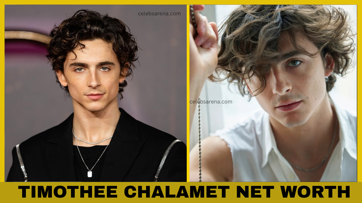 Timothée Chalamet Net Worth
